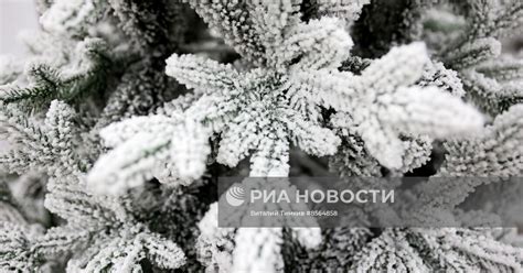 Производство искусственных новогодних елей в Новороссийске | РИА ...