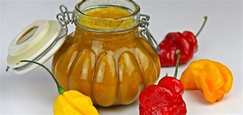 Hot Pepper Sauce Barbados Pocket Guide