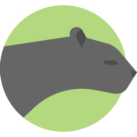 Icono de Pantera