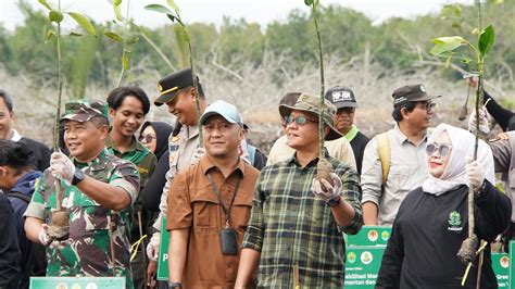 Samsun Hadiri Penanaman Bibit Mangrove Di Muara Jawa Website DPRD