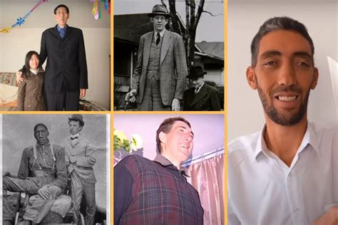 Meet The Top 10 Tallest Man In The World 2024
