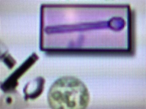 Microbiology Flashcards | Quizlet 