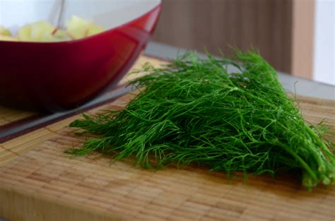Эфирное масло укропа