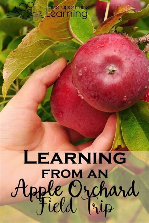 Homeschool Learning Through Routines And All The Extras Apple Orchard