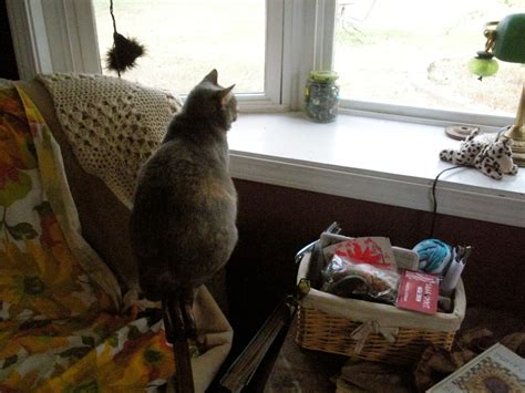 Day 51 of 365 Days Dealing With Grief – thebarefoothome