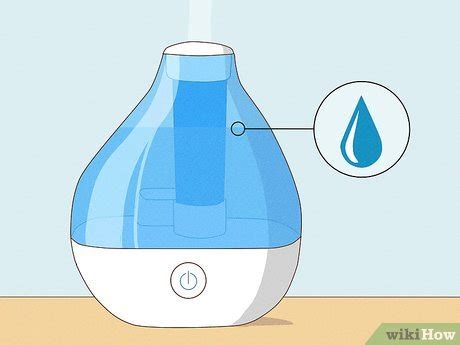 Diffuser Vs Humidifier Explaining Their Differences