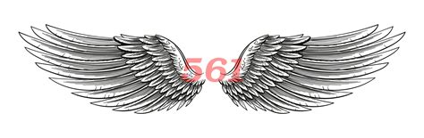 What Is The Spiritual Significance Of The 561 Angel Number? - TheReadingTub
