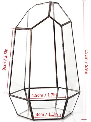 Ncyp Small Geometric Glass Terrarium X X Cm Irregular Prism