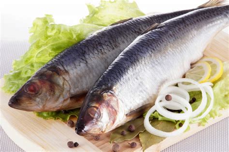 Селёдка или скумбрия, что вкуснее?