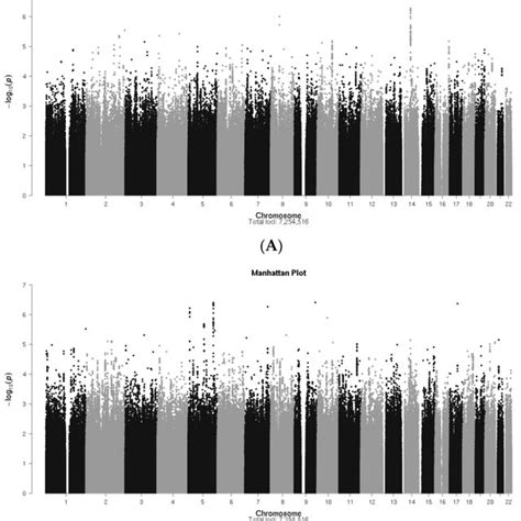 A Manhattan Plot For Genome Wide Associations With Promis 10 Global