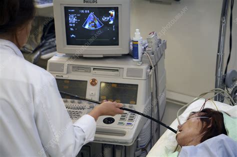 Transesophageal Echography Stock Image C004 0558 Science Photo