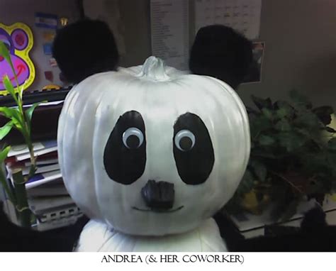 Panda Pumpkins From Our Fans Pandas International