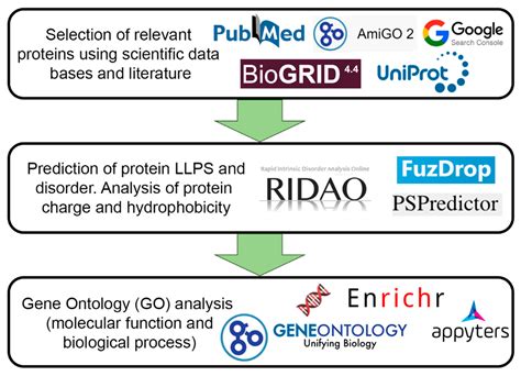 Biomolecules Free Full Text On The Prevalence And Roles Of Proteins