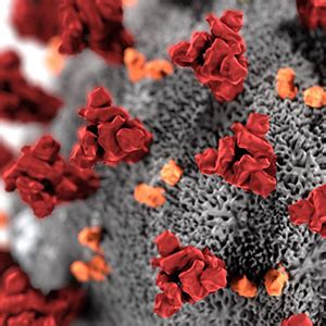 Bacterial vs. Viral Infections - BioFire Diagnostics