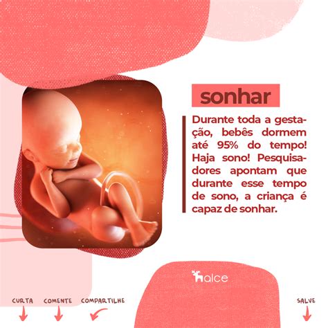 Quando O Bebê Faz Fezes Na Barriga E Perigoso - Coisas que o bebê faz dentro da barriga da mamãe | Alce