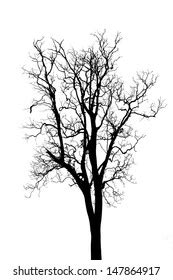 Vector Drawing Big Naked Winter Tree Stock Vector Royalty Free