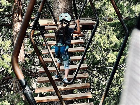 Tahoe Vista Treetop 2022 What To Know Before You Go
