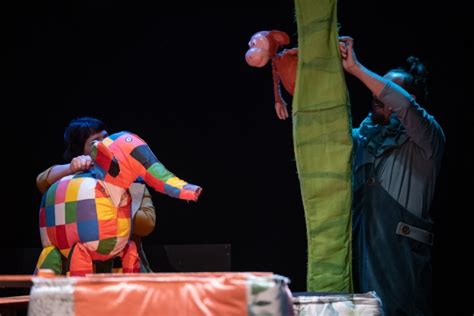 Elmer El Elefante Multicolor Teatro Escolar Para Infantil Primaria