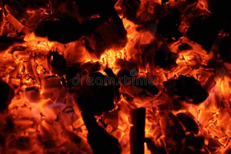 Burning Hot Picture Image 1095984