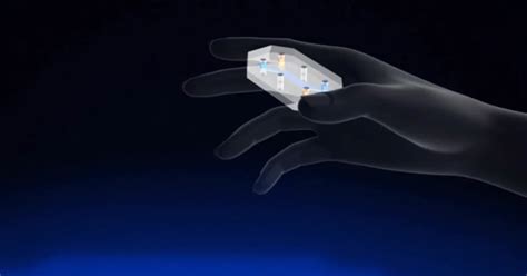 Crean un chip que simula la vagina para conocer más sobre las infecciones Infobae