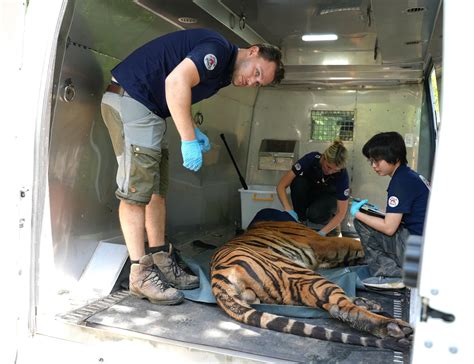 B T T M Giam Hot Girl L C Th Th Y