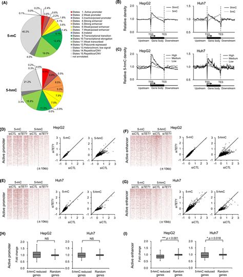 Genomewide Distributions Of Hmc And The Effect Of Tet Knockdown At