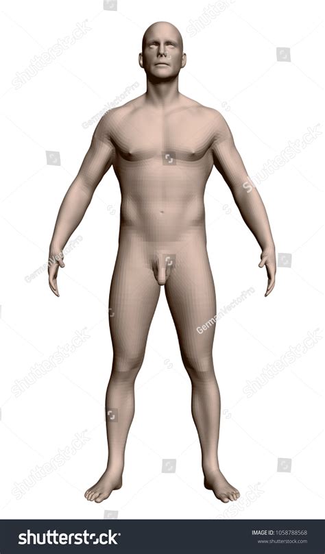 Legs Spread Naked Man Images Stock Photos Vectors Shutterstock