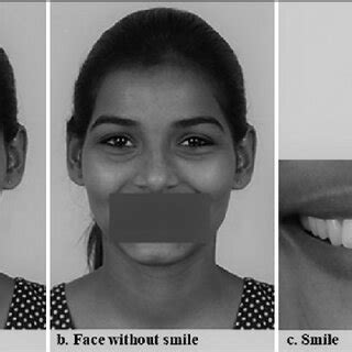 photographic analysis  scientific diagram
