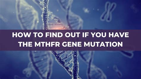 How To Find Out If You Have The Mthfr Gene Mutation Mthfr Support