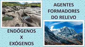O Que Sao Agentes Endogenos - O que são agentes endógenos e exógenos?