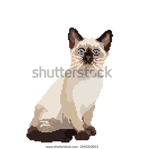 Pixel Art Siamese Cat Stock Illustration 2242323013 Shutterstock