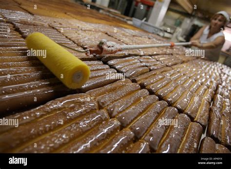 Horchata Tiger Nuts Hi Res Stock Photography And Images Alamy