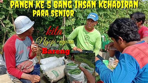 Panen Ke Paria Opal F Oktan F Dan Paria F Youtube