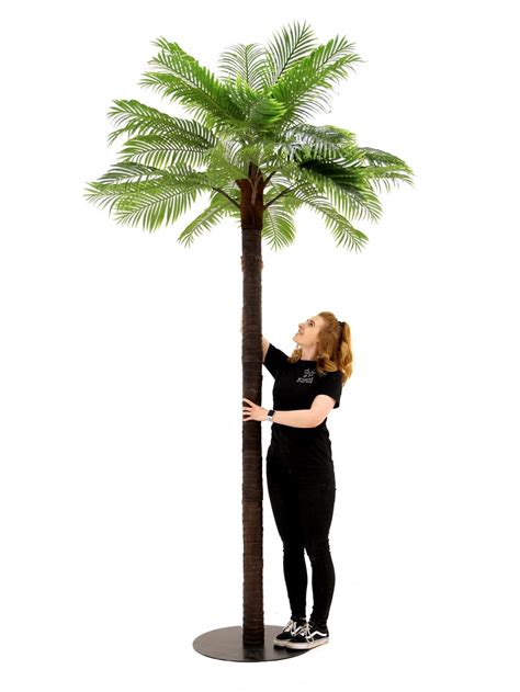 Tall Palm Tree 32m Eph Creative Event Prop Hire