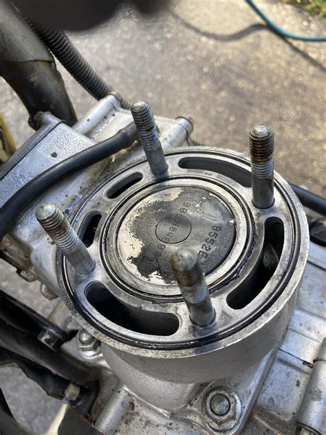 Best U Darrthjas Images On Pholder Bbw Pussys Bbw Hardcore And Pussy