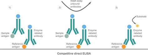 An introduction to the different types of ELISA tests | INTEGRA 