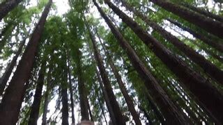 Social Distancing Meets A Nude Beach Nude Road Trip Along The Great Ocean Road Nude Video On