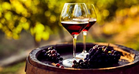 Mendoza Wine Tour And Adventure Tour And Luxury Argentina Vineyard Trip