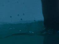 Naked Sarah Roemer In Asylum