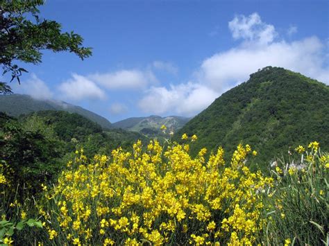 Taburno Trekking Montesarchio Giugno Tocco Caudio Il