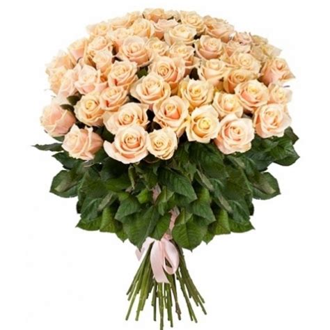 Букет от 51 кремави рози - от категория РОЗИ (SamoRozi.com)