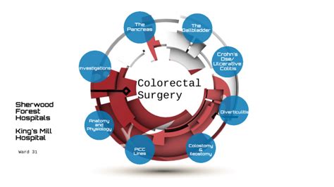 Colorectal Anatomy Physiology Procedures And Surgeries Ward By