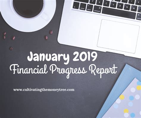 january  financial progress report