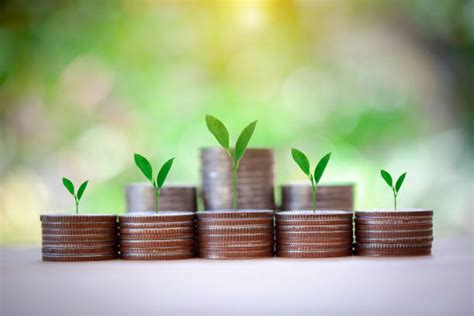 8,700+ Mutual Funds Stock Photos, Pictures & Royalty-Free Images - iStock