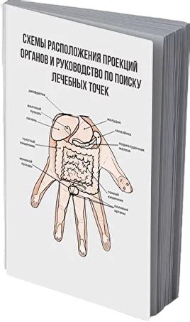 Приглашение на мастер-класс "Метод Су Джок для самолечения и помощи ...