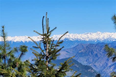 Jibhi (Himachal Pradesh): Things To Do, Places To Visit, Hotels