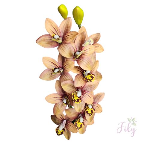 Arranjo de Orquídea Cymbidium Marrom Vaso vidro nude Fily Flores