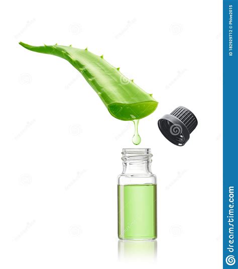Aloe Vera Essence Gel Isolated Stock Photo - Image of ingredient ...