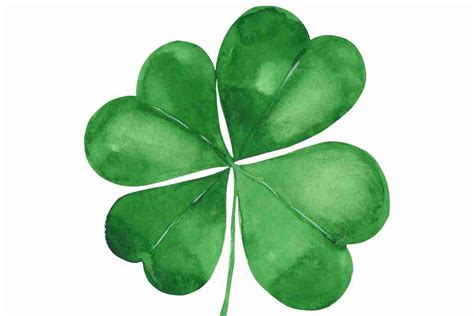 how to draw a lucky clover