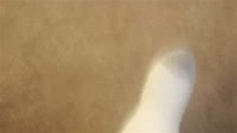 BBW FEET By FatBODYuglyFEET Clips Sale